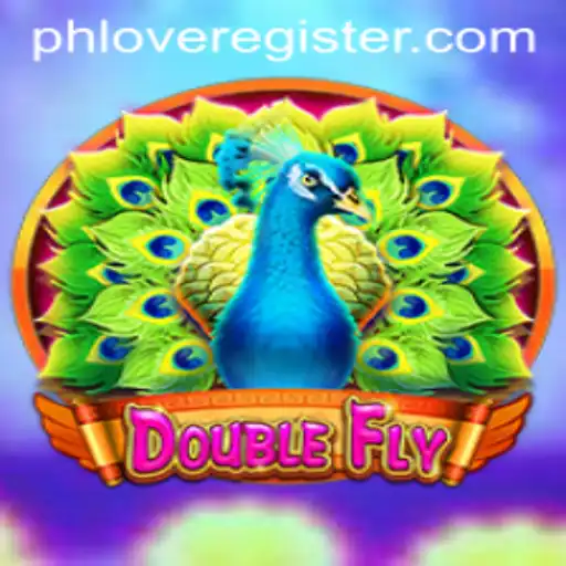 DoubleFly: A Thrilling Journey Through Innovation and Strategy